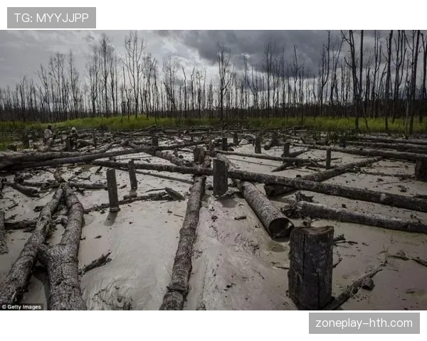 苏丹尼罗河鳄鱼数量激增引发生态失衡担忧